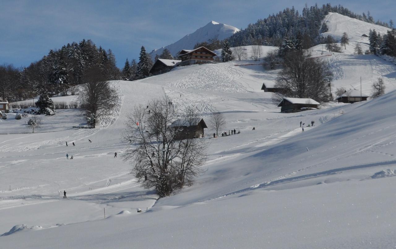 Brunnenmatte Otel Aeschi Bei Spiez Dış mekan fotoğraf