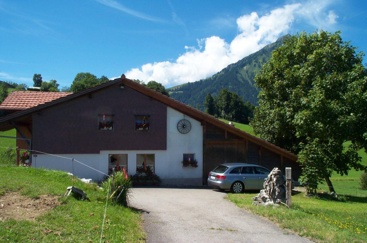 Brunnenmatte Otel Aeschi Bei Spiez Dış mekan fotoğraf