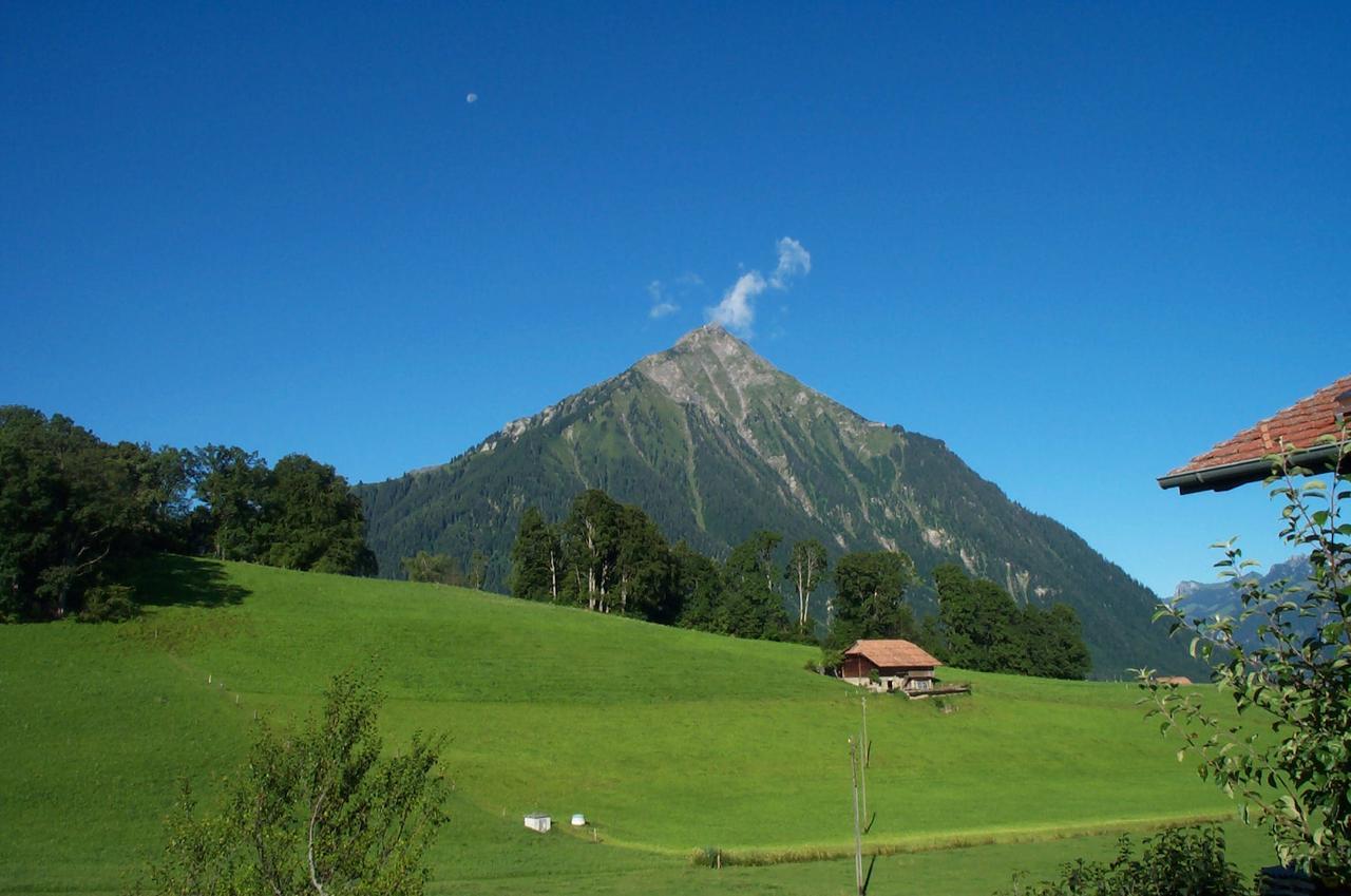 Brunnenmatte Otel Aeschi Bei Spiez Dış mekan fotoğraf